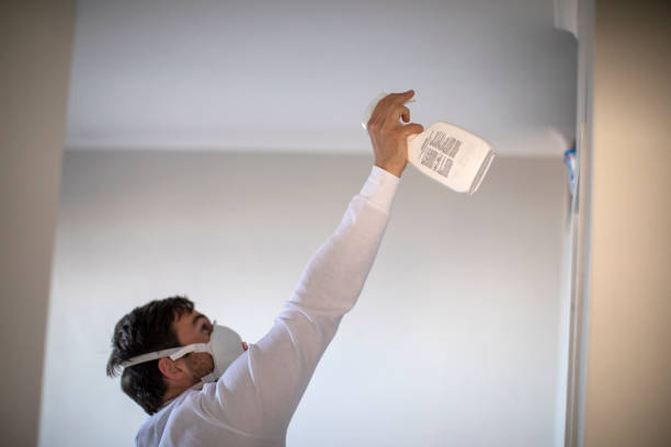 Best Home Mold Removal  in Warroad, MN
